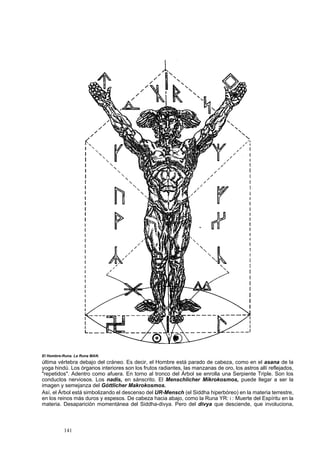El Hombre-Runa. La Runa MAN. 
última vértebra debajo del cráneo. Es decir, el Hombre está parado de cabeza, como en el asana de la 
yoga hindú. Los órganos interiores son los frutos radiantes, las manzanas de oro, los astros allí reflejados, 
"repetidos". Adentro como afuera. En torno al tronco del Árbol se enrolla una Serpiente Triple. Son los 
conductos nerviosos. Los nadis, en sánscrito. El Menschlicher Mikrokosmos, puede llegar a ser la 
imagen y semejanza del Góttlicher Makrokosmos. 
Así, el Árbol está simbolizando el descenso del UR-Mensch (el Siddha hiperbóreo) en la materia terrestre, 
en los reinos más duros y espesos. De cabeza hacia abajo, como la Runa YR: i : Muerte del Espíritu en la 
materia. Desaparición momentánea del Siddha-divya. Pero del divya que desciende, que involuciona, 
141 
 