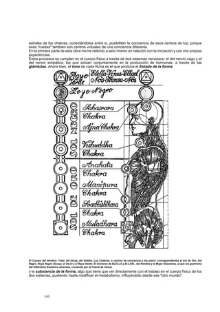 astrales de los chakras, conectándolos entre sí, posibilitan la conciencia de esos centros de luz; porque 
esas "ruedas" también son centros virtuales de una conciencia diferente. 
En la primera parte de esta obra me he referido a esto mismo en relación con la Iniciación y con mis propias 
experiencias. 
Éstos procesos se cumplen en el cuerpo físico a través de dos sistemas nerviosos: el del nervio vago y el 
del nervio simpático, los que actúan conjuntamente en la producción de hormonas, a través de las 
glándulas. Ahora bien, el tono de cada Runa es el que produce el Estado de la forma 
El Cuerpo del Hombre- Total, del Divya, del Siddha. Los Chakras, o centros de conciencia y los plano* correspondientes al Sol de Oro, Sol 
Negro, Hoyo Negro (Sunya, el Vavío y al Rayo Verde. El Universo de ELELLA y ELLAEL, del Hombre y la Mujer Absolutos, al que los guerreros 
del Hitlerismo Esotérico alcanzan, cruzando por la Puerta de Venus. 
y la substancia de la forma, algo que tiene que ver directamente con el trabajo en el cuerpo físico de los 
dos sistemas, pudiendo hasta modificar el metabolismo, influyéndolo desde ese "otro mundo". 
143 
 