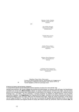 Sahasrara. Cerebro. Glándula 
pituitaria. Sistema nervioso 
voluntario. 
Z 5 
Ajna: Médula oblongata. 
Sistema nervioso reflejo. 
(Glándula pineal) 
Vishuda. Plexus cervicus. 
Sistema respiratorio. 
Anahata. Plexus cardiacus. 
Sistema circulatorio.. (Vasos 
sanguíneos) 
Manipura. Plexus Epigastricus. 
(Plexo solar) Sistema de la 
nutrición. 
Svadisthana. Plexus hipogastricus. 
Órgano interno de la secreción y de la 
reproducción. 
51 
Muladhara. Plexus Pelvis. (Plexo sacro). 
Controla los órganos genitales externos, representados por el Lingam para el 
sexo masculino y el Yoni para el sexo femenino. Aquí reposa, duerme, se 
"enrolla" Kundalini. (La libido de la psicología actúa». 
El Árbol de los Chakras, Árbol del Espanto. El Iggdrasil". 
La correspondencia aparente entre los Chakras de la sabiduría hiperbórea y los plexos de la ciencia del Kali- Yuga. 
perdido para siempre. Allí, frente al Gral, escuchando la propia sangre, su música, junto al Fuego, los hiperbóreos 
cumplían con el rito de la Minne-trinken, bebían su sangre, preservando la memoria del origen, para así darse 
ánimo en la increíble aventura aquí emprendida, en este exilio en la materia, en esta guerra sin cuartel contra el 
Enemigo que —se sabe— les va cercando. Y porque el tiempo se acelera en estas regiones, que se harán 
sombrías y heladas. Las Hagedissen, las Vírgenes del Sol Negro, exhortan a los héroes a apresurar la Boda, el 
Matrimonio Mágico, junto al Fuego. Ellas son las Esposas del Fuego. Antes de unirse al guerrero, lo han hecho 
con el Fuego de Saturno. Y es por eso, tal vez, que, en recuerdo de aquellos lejanos tiempos divinos, en la India 
aria la esposa entraba a la hoguera donde el cuerpo del marido muerto se consumía. Este rito se llama Sati, de 
152 
 