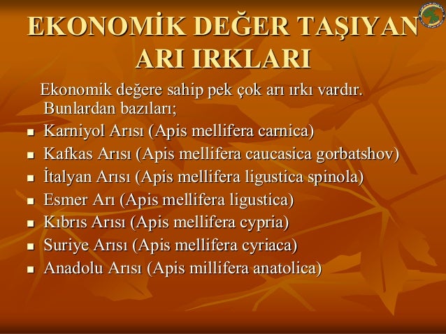 Bal Arisi Anatomisi Genetik Ve Islahi Ile Ana Ari Yetistiriciligi Ferat Genc Mahir Murat Cengiz 9786052888575 Amazon Com Books