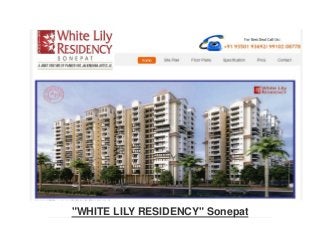 "WHITE LILY RESIDENCY" Sonepat
 