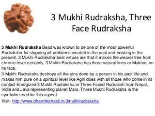 3 Mukhi Rudraksha, Three
Face Rudraksha
3 Mukhi Rudraksha Bead was known to be one of the most powerful
Rudraksha for stopping all problems created in the past and existing in the
present. 3 Mukhi Rudraksha best virtues are that it makes the wearer free from
chronic fever certainly. 3 Mukhi Rudraksha has three natural lines or Mukhas on
its face.
3 Mukhi Rudraksha destroys all the sins done by a person in his past life and
makes him pure on a spiritual level like Agni does with all those who come in its
contact.Energized 3 Mukhi Rudraksha or Three Faced Rudraksh from Nepal,
India and Java representing planet Mars. Three Mukhi Rudraksha is the
symbolic seed for this aspect.
Visit- http://www.dharmikshakti.in/3mukhirudraksha
 