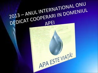 2013 – ANUL INTERNATIONAL ONU
DEDICAT COOPERARI IN DOMENIUL
APEI
 