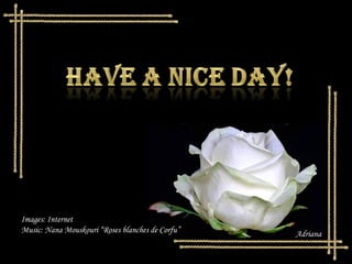 Images: Internet
Music: Nana Mouskouri “Roses blanches de Corfu” Adriana
 