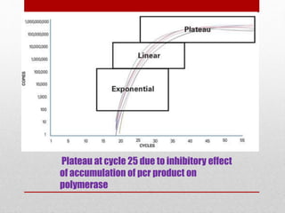 Plateau at cycle 25 due to inhibitory effect
of accumulation of pcr product on
polymerase
 
