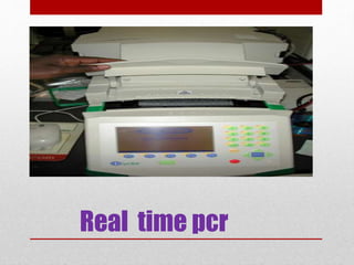 Real time pcr
 