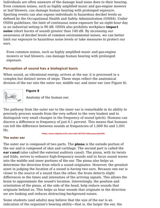 Individuals are often unaware of the damage loud noise does to their hearing.
Even common noises, such as highly ampliﬁed music and gas-engine mowers
or leaf blowers, can damage human hearing with prolonged exposure.
Sporting events can also expose individuals to hazardous decibel levels as
deﬁned by the Occupational Health and Safety Administration (OSHA). Under
OSHA guidelines, the limit of continuous noise exposure for an eight-hour day
in an industrial setting is 90 dB. OSHA also prohibits workplace impact
noise (short bursts of sound) greater than 140 dB. By increasing our
awareness of decibel levels of common environmental noises, we can better
limit our exposure to hazardous noise levels or take measures to protect our
ears.
Even common noises, such as highly ampliﬁed music and gas-engine
mowers or leaf blowers, can damage human hearing with prolonged
exposure.
Perception of sound has a biological basis
When sound, as vibrational energy, arrives at the ear, it is processed in a
complex but distinct series of steps. These steps reﬂect the anatomical
division of the ear into the outer ear, middle ear, and inner ear (see Figure 8).
Figure 8
Anatomy of the human ear.
The pathway from the outer ear to the inner ear is remarkable in its ability to
precisely process sounds from the very softest to the very loudest and to
distinguish very small changes in the frequency of sound (pitch). Humans can
discern a diﬀerence in frequency of just 0.1 percent. This means that humans
can tell the diﬀerence between sounds at frequencies of 1,000 Hz and 1,001
Hz.
The outer ear
The outer ear is composed of two parts. The pinna is the outside portion of
the ear and is composed of skin and cartilage. The second part is called the
ear canal (also called the external auditory canal). The pinna, with its twists
and folds, serves to enhance high-frequency sounds and to focus sound waves
into the middle and inner portions of the ear. The pinna also helps us
determine the direction from which a sound originates. However, the greatest
asset in judging the location of a sound is having two ears. Because one ear is
closer to the source of a sound than the other, the brain detects slight
diﬀerences in the times and intensities of the arriving signals. This allows the
brain to approximate the sound's location. Interestingly, the position and
orientation of the pinna, at the side of the head, help reduce sounds that
originate behind us. This helps us hear sounds that originate in the direction
we are looking and reduces distracting background noises.
Some students (and adults) may believe that the size of the ear is an
indication of the organism's hearing ability—that is, the larger the ear, the
https://www.digistore24.com/redir/367547/elhosanyreda200/
 