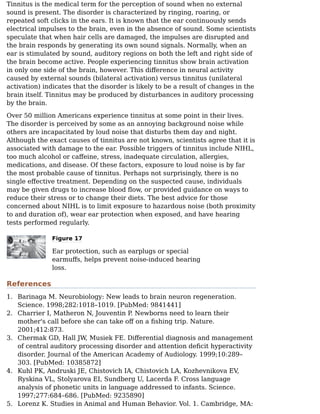 1.
2.
3.
4.
5.
Tinnitus is the medical term for the perception of sound when no external
sound is present. The disorder is characterized by ringing, roaring, or
repeated soft clicks in the ears. It is known that the ear continuously sends
electrical impulses to the brain, even in the absence of sound. Some scientists
speculate that when hair cells are damaged, the impulses are disrupted and
the brain responds by generating its own sound signals. Normally, when an
ear is stimulated by sound, auditory regions on both the left and right side of
the brain become active. People experiencing tinnitus show brain activation
in only one side of the brain, however. This diﬀerence in neural activity
caused by external sounds (bilateral activation) versus tinnitus (unilateral
activation) indicates that the disorder is likely to be a result of changes in the
brain itself. Tinnitus may be produced by disturbances in auditory processing
by the brain.
Over 50 million Americans experience tinnitus at some point in their lives.
The disorder is perceived by some as an annoying background noise while
others are incapacitated by loud noise that disturbs them day and night.
Although the exact causes of tinnitus are not known, scientists agree that it is
associated with damage to the ear. Possible triggers of tinnitus include NIHL,
too much alcohol or caﬀeine, stress, inadequate circulation, allergies,
medications, and disease. Of these factors, exposure to loud noise is by far
the most probable cause of tinnitus. Perhaps not surprisingly, there is no
single eﬀective treatment. Depending on the suspected cause, individuals
may be given drugs to increase blood ﬂow, or provided guidance on ways to
reduce their stress or to change their diets. The best advice for those
concerned about NIHL is to limit exposure to hazardous noise (both proximity
to and duration of), wear ear protection when exposed, and have hearing
tests performed regularly.
Figure 17
Ear protection, such as earplugs or special
earmuﬀs, helps prevent noise-induced hearing
loss.
References
Barinaga M. Neurobiology: New leads to brain neuron regeneration.
Science. 1998;282:1018–1019. [PubMed: 9841441]
Charrier I, Matheron N, Jouventin P
. Newborns need to learn their
mother's call before she can take oﬀ on a ﬁshing trip. Nature.
2001;412:873.
Chermak GD, Hall JW, Musiek FE. Diﬀerential diagnosis and management
of central auditory processing disorder and attention deﬁcit hyperactivity
disorder. Journal of the American Academy of Audiology. 1999;10:289–
303. [PubMed: 10385872]
Kuhl PK, Andruski JE, Chistovich IA, Chistovich LA, Kozhevnikova EV,
Ryskina VL, Stolyarova EI, Sundberg U, Lacerda F. Cross language
analysis of phonetic units in language addressed to infants. Science.
1997;277:684–686. [PubMed: 9235890]
Lorenz K. Studies in Animal and Human Behavior. Vol. 1. Cambridge, MA:
 