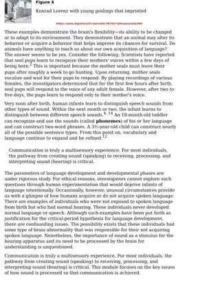 Figure 4
Konrad Lorenz with young goslings that imprinted
These examples demonstrate the brain's ﬂexibility—its ability to be changed
or to adapt to its environment. They demonstrate that an animal may alter its
behavior or acquire a behavior that helps improve its chances for survival. Do
animals have anything to teach us about our own acquisition of language?
The answer seems to be yes. Consider the following: Scientists have reported
that seal pups learn to recognize their mothers' voices within a few days of
being born. This is important because the mother seals must leave their
pups after roughly a week to go hunting. Upon returning, mother seals
vocalize and wait for their pups to respond. By playing recordings of various
females, the investigators determined that for the ﬁrst few hours after birth,
seal pups will respond to the voice of any adult female. However, after two to
ﬁve days, the pups learn to respond only to their mother's voice.
Very soon after birth, human infants learn to distinguish speech sounds from
other types of sound. Within the next month or two, the infant learns to
distinguish between diﬀerent speech sounds. An 18-month-old toddler
can recognize and use the sounds (called phonemes) of his or her language
and can construct two-word phrases. A 3½-year-old child can construct nearly
all of the possible sentence types. From this point on, vocabulary and
language continue to expand and be reﬁned.
Communication is truly a multisensory experience. For most individuals,
the pathway from creating sound (speaking) to receiving, processing, and
interpreting sound (hearing) is critical.
The parameters of language development and developmental phases are
under rigorous study. For ethical reasons, investigators cannot explore such
questions through human experimentation that would deprive infants of
language intentionally. Occasionally, however, unusual circumstances provide
us with a glimpse of how humans acquire or do not acquire spoken language.
There are examples of individuals who were not exposed to spoken language
from birth but who had normal hearing. These individuals never developed
normal language or speech. Although such examples have been put forth as
justiﬁcation for the critical-period hypothesis for language development,
there are confounding issues. The possibility exists that these individuals had
some type of brain abnormality that was responsible for their not acquiring
spoken language. Nonetheless, the importance of sound as a stimulus for the
hearing apparatus and its need to be processed by the brain for
understanding is unquestioned.
Communication is truly a multisensory experience. For most individuals, the
pathway from creating sound (speaking) to receiving, processing, and
interpreting sound (hearing) is critical. This module focuses on the key issues
of how sound is processed so that communication is achieved.
2
4, 14
12
https://www.digistore24.com/redir/367547/elhosanyreda200/
 