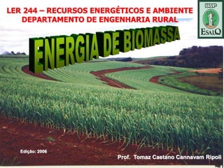 LER 244 – RECURSOS ENERGÉTICOS E AMBIENTE
DEPARTAMENTO DE ENGENHARIA RURAL
Prof. Tomaz Caetano Cannavam Ripoli
Edição: 2006
 