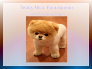 Teddy Bear Pomeranian
   Pomeranian book images
 