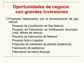 Oportunidades de negocio   con grandes inversiones Proyectos relacionados con el procesamiento de gas natural: Proyecto de Licuefacción de Gas Natural. Proyecto de Fabricación de Fertilizantes Amoniaco, Urea, Nitrato de Amonio. Proyecto de Fabricación de Metanol. Proyecto Gas a Líquidos.  Proyectos de instalación de plantas criogénicas. Fabricación de explosivos Fabricación de Hierro Esponja 