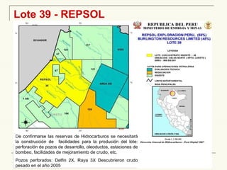 Lote 39 - REPSOL De confirmarse las reservas de Hidrocarburos se necesitará la construcción de  facilidades para la produción del lote: perforación de pozos de desarrollo, oleoductos, estaciones de bombeo, facilidades de mejoramiento de crudo, etc.  Pozos perforados: Delfin 2X, Raya 3X Descubrieron crudo pesado en el año 2005 