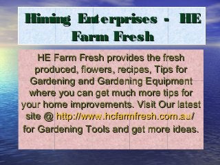 Himing Enterprises - HE
      Farm Fresh
    HE Farm Fresh provides the fresh
    produced, flowers, recipes, Tips for
  Gardening and Gardening Equipment
  where you can get much more tips for
your home improvements. Visit Our latest
 site @ http://www.hcfarmfresh.com.au/
for Gardening Tools and get more ideas.
 
