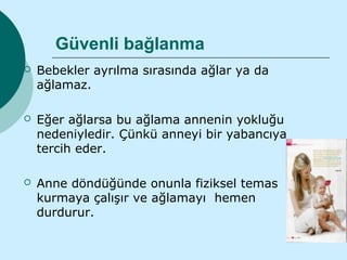 Güvenli bağlanma
   Bebekler ayrılma sırasında ağlar ya da
    ağlamaz.

   Eğer ağlarsa bu ağlama annenin yokluğu
    nedeniyledir. Çünkü anneyi bir yabancıya
    tercih eder.

   Anne döndüğünde onunla fiziksel temas
    kurmaya çalışır ve ağlamayı hemen
    durdurur.
 
