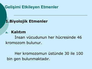Gelişimi Etkileyen Etmenler


1.Biyolojik Etmenler

a. Kalıtım
    İnsan vücudunun her hücresinde 46
kromozom bulunur.

     Her kromozomun üstünde 30 ile 100
 bin gen bulunmaktadır.
 