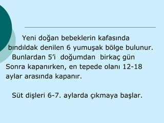Yeni doğan bebeklerin kafasında
 bındıldak denilen 6 yumuşak bölge bulunur.
  Bunlardan 5’i doğumdan birkaç gün
Sonra kapanırken, en tepede olanı 12-18
aylar arasında kapanır.

 Süt dişleri 6-7. aylarda çıkmaya başlar.
 