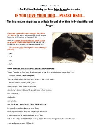 The Pet Food Industry has been lying to you for decades.
IF YOU LOVE YOUR DOG....PLEASE READ...
This information might save your Dog's life and allow them to live healthier and
longer. 
If you have a puppy all the way to a senior dog...listen
very closely - the sooner you remove this item from your
home, the healthier your family dog will be.
With this common household item that nearly 100% of
DOG OWNERS have in their home, I shortened my dog’s
life, killing her with cancer...without even knowing it…
...and I guarantee, YOU are doing the same exact thing to
your dog…
...each…
...and…
...every…
...DAY...
Luckily, it’s not too late to turn things around and save your dogs life…
Today - I’m going to show you a simple, inexpensive, and fun way to add years to your dog’s life…
...and quite possibly, cancer-free years!
This can rapidly improve, literally, every aspect of your dog’s health...
...diminish arthritis, soothe painful joints…
strengthen your dog’s bones and muscles…
drastically reduce shedding while giving them a soft, shiny coat...
End bad breath...
stinky odor...
smelly farts…
And even protect your dog from cancer and organ failure.
I should also mention, this works on all dogs…
From puppies to senior dogs and everything in the middle…
It doesn’t even matter the size or breed of your dog.
In fact, this simple method has been used by tens-of-thousands of dog owners all across the world… 
...not used since the early 1900s and…
 