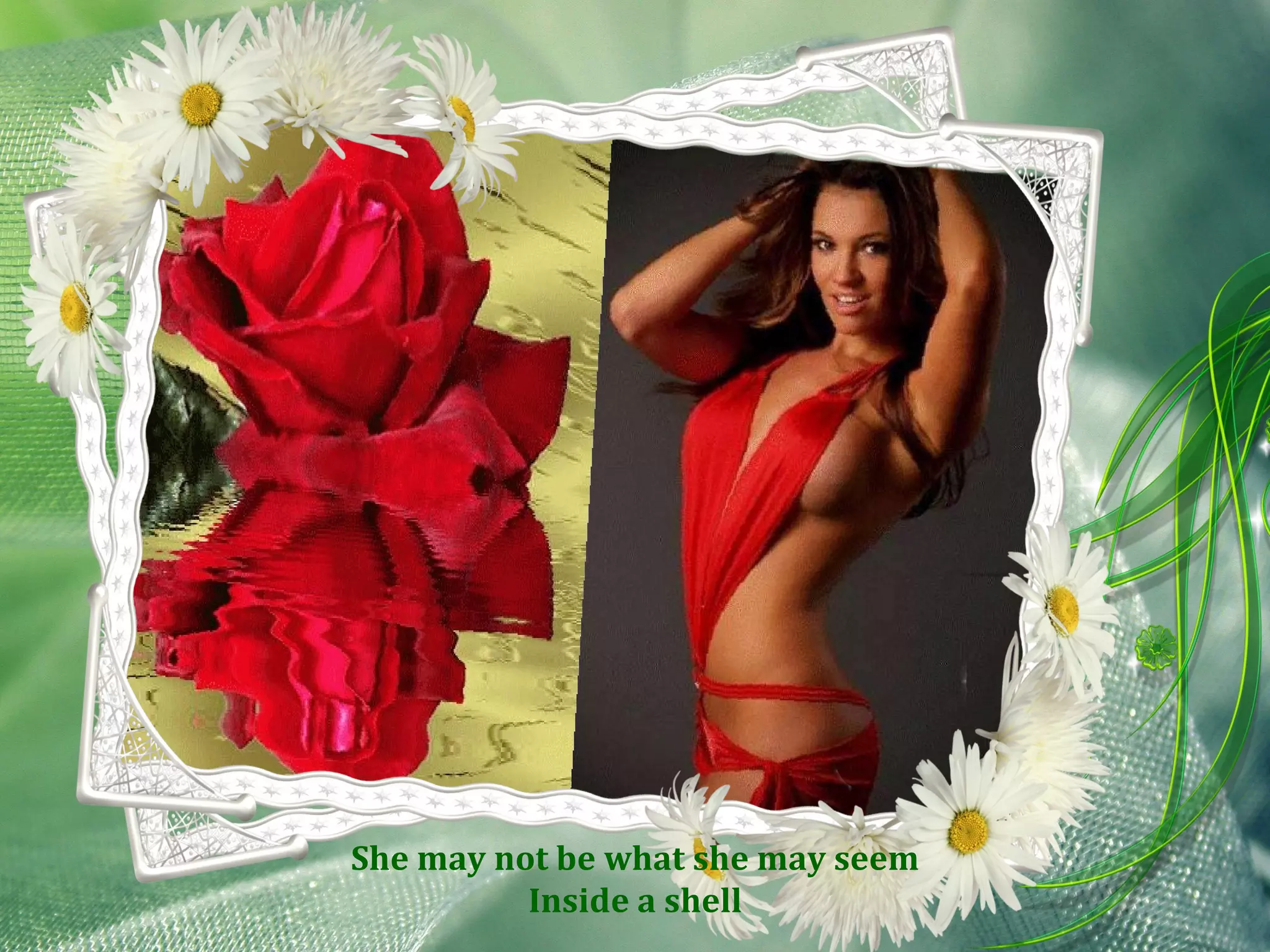 She may not be what she may seem Inside a shell