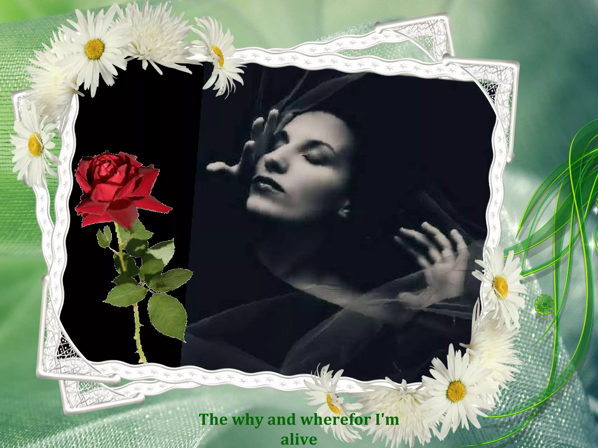 The why and wherefor I'm alive