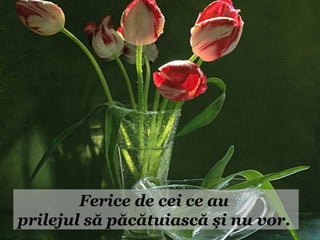 Ferice de cei ce au
prilejul să păcătuiască şi nu vor.
 