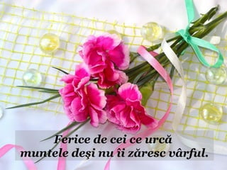 Ferice de cei ce urcă
muntele deşi nu îi zăresc vârful.
 