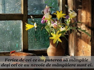 Ferice de cei ce au puterea să mângâie
deşi cei ce au nevoie de mângâiere sunt ei.
 