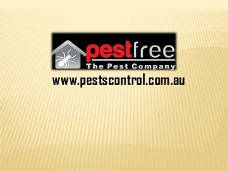 www.pestscontrol.com.au
 