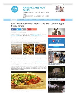Search PETA.org.au
ANIMALS ARE NOT
OURS
TO EXPERIMENT ON, EAT, WEAR, USE
FOR
ENTERTAINMENT, OR ABUSE IN ANY OTHER
WAY.
Stuff Your Face With Plants and Still Lose Weight,
Study Finds
Posted on 30 March 2017 at 10:33AM by PETA Australia
We al l know that pl ant-base d foods are de l i ci ous, he l p com bat
cl i m ate change , and spare ani m al s i m m e nse suffe ri ng.
But did you know that eating vegan foods can also help you lose weight?
New research from New Zealand has found that a diet of plant-based whole foods can shrink your
waistline, reverse type 2 diabetes, and lower cholesterol levels. Participants in the study lost an average
of 11.5 kilograms after one year – despite being told to eat as much as they wanted.
 Bread, pasta, and potatoes were all encouraged during the study.
The research, published in Nutrition & Diabetes, recorded the largest weight loss of any randomised
control trial where participants had no restriction on calories and didn’t have to exercise.
The study included 65 patients who were obese or overweight and had heart disease or diabetes.
Participants were split randomly into two groups: 33 participants ate a plant-based diet, while 32 others
formed a control group.
In addition to being plant-based, the prescribed diet was low in fat, as approximately only 7 to 15 per
cent of total energy came from fat. The diet included unlimited amounts of whole grains, legumes,
vegetables, and fruits. Participants were advised to eat until they were full and not to count calories.
They also took a daily B supplement.
Supplied – Morgen Smith | This pizza comes complete with fresh tomato sauce, wholemeal base, slivered
onions, marinated mushrooms, and nutritional yeast akes.
12
CONNECT WITH PETA
SIGN UP FOR E-MAIL UPDATES
RECENT
These Live Markets are Still Open, and
They Could Spark COVID-21
Great News! South Australia to Phase
out Opera House Nets!
HELP ANIMALS IN 2021!
E-Mail Address
SIGN ME UP!
RECENT NEWS ACTION CENTRE LIVING THE ISSUES MEDIA CENTRE ABOUT VEGAN STARTER KIT DONATE
 