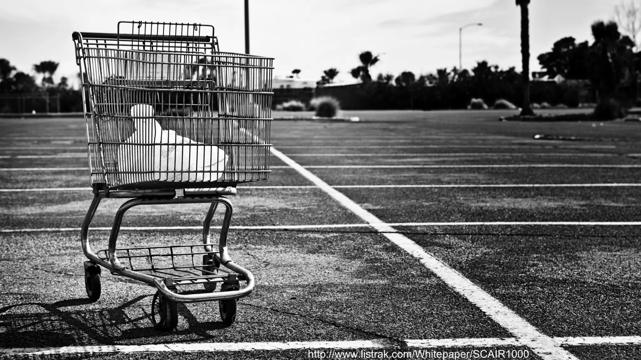 ever experienced that  terrible feeling of  being abandoned? http://www.listrak.com/Whitepaper/SCAIR1000 