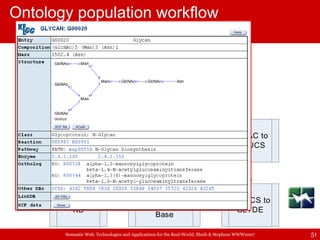 Ontology population workflow 