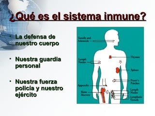¿Qué es el sistema inmune? La defensa de nuestro cuerpo Nuestra guardia personal Nuestra fuerza policía y nuestro ejército 