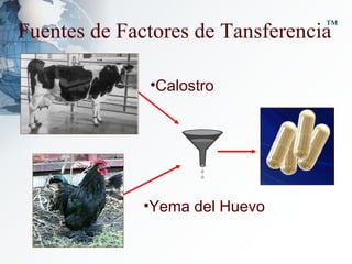Fuentes de Factores de Tansferencia ™ Calostro Yema del Huevo 