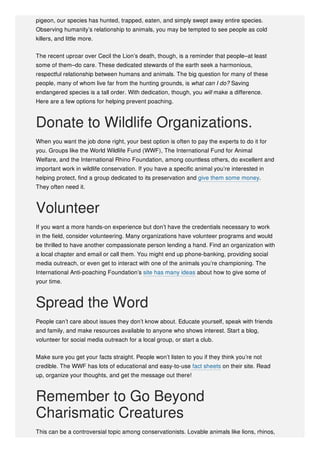 pigeon, our species has hunted, trapped, eaten, and simply swept away entire species.
Observing humanity’s relationship to animals, you may be tempted to see people as cold
killers, and little more.
The recent uproar over Cecil the Lion’s death, though, is a reminder that people–at least
some of them–do care. These dedicated stewards of the earth seek a harmonious,
respectful relationship between humans and animals. The big question for many of these
people, many of whom live far from the hunting grounds, is what can I do? Saving
endangered species is a tall order. With dedication, though, you will make a difference.
Here are a few options for helping prevent poaching.
Donate to Wildlife Organizations.
When you want the job done right, your best option is often to pay the experts to do it for
you. Groups like the World Wildlife Fund (WWF), The International Fund for Animal
Welfare, and the International Rhino Foundation, among countless others, do excellent and
important work in wildlife conservation. If you have a specific animal you’re interested in
helping protect, find a group dedicated to its preservation and give them some money.
They often need it.
Volunteer
If you want a more hands-on experience but don’t have the credentials necessary to work
in the field, consider volunteering. Many organizations have volunteer programs and would
be thrilled to have another compassionate person lending a hand. Find an organization with
a local chapter and email or call them. You might end up phone-banking, providing social
media outreach, or even get to interact with one of the animals you’re championing. The
International Anti-poaching Foundation’s site has many ideas about how to give some of
your time.
Spread the Word
People can’t care about issues they don’t know about. Educate yourself, speak with friends
and family, and make resources available to anyone who shows interest. Start a blog,
volunteer for social media outreach for a local group, or start a club.
Make sure you get your facts straight. People won’t listen to you if they think you’re not
credible. The WWF has lots of educational and easy-to-use fact sheets on their site. Read
up, organize your thoughts, and get the message out there!
Remember to Go Beyond
Charismatic Creatures
This can be a controversial topic among conservationists. Lovable animals like lions, rhinos,
 