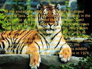    Habitat and Ecology

   At the end of the 18th century, tigers inhabited
    most of Java. Around 1850, the people living in the
    rural areas still considered them a plague. Until
    1940, tigers had retreated to remote mountainous
    and forested areas. Around 1970, the only known
    tigers lived in the region of Mount Betiri, with an
    altitude of 1,192 m (3,911 ft) the highest mountain
    in Java's southeast, which had not been settled due
    to the rugged and slopy terrain. In 1972, the
    500 km2(190 sq mi) area was gazetted as wildlife
    reserve. The last tigers were sighted there in 1976.
 