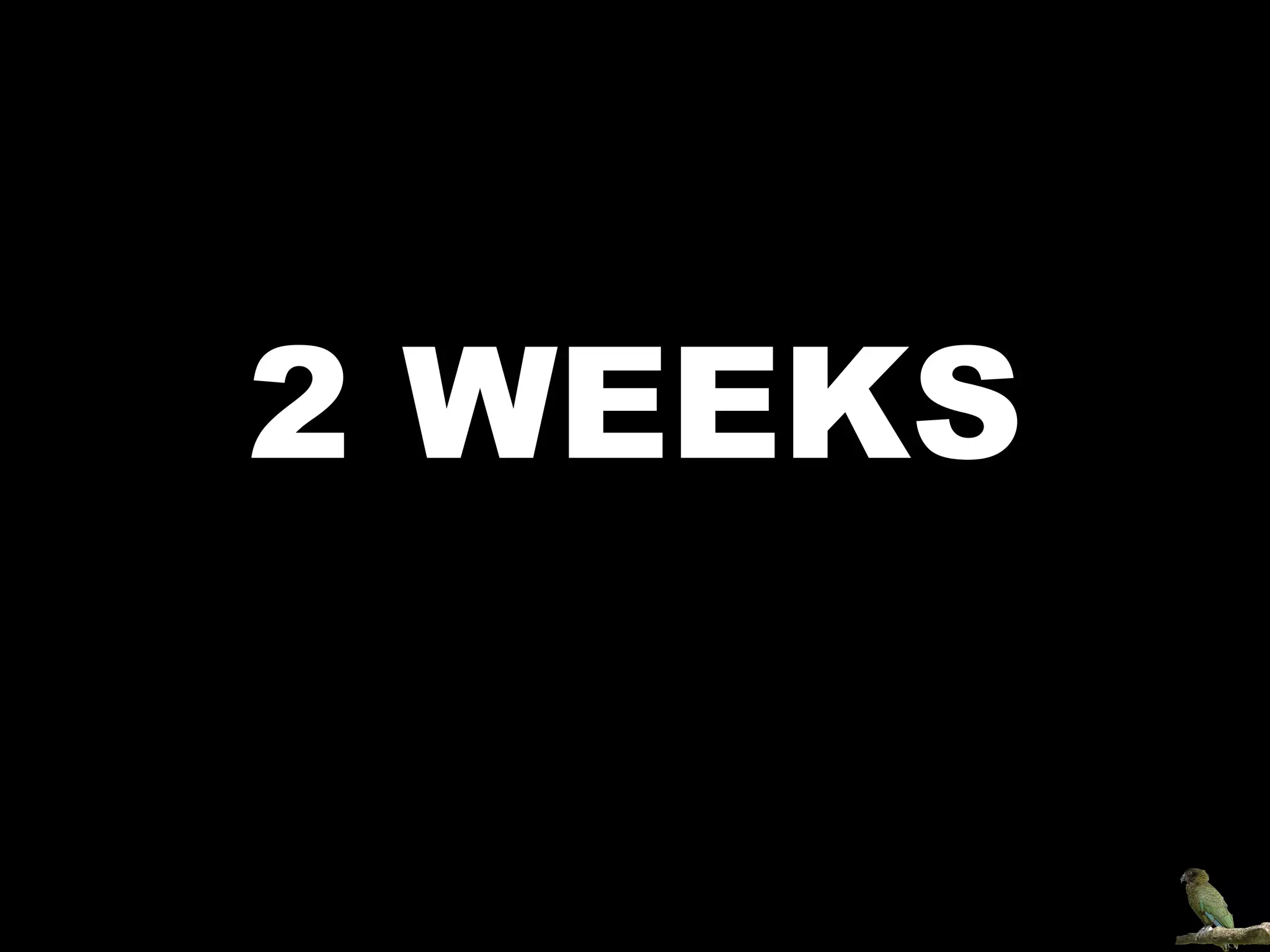 2 WEEKS Kirstin Anderson-McGhie  