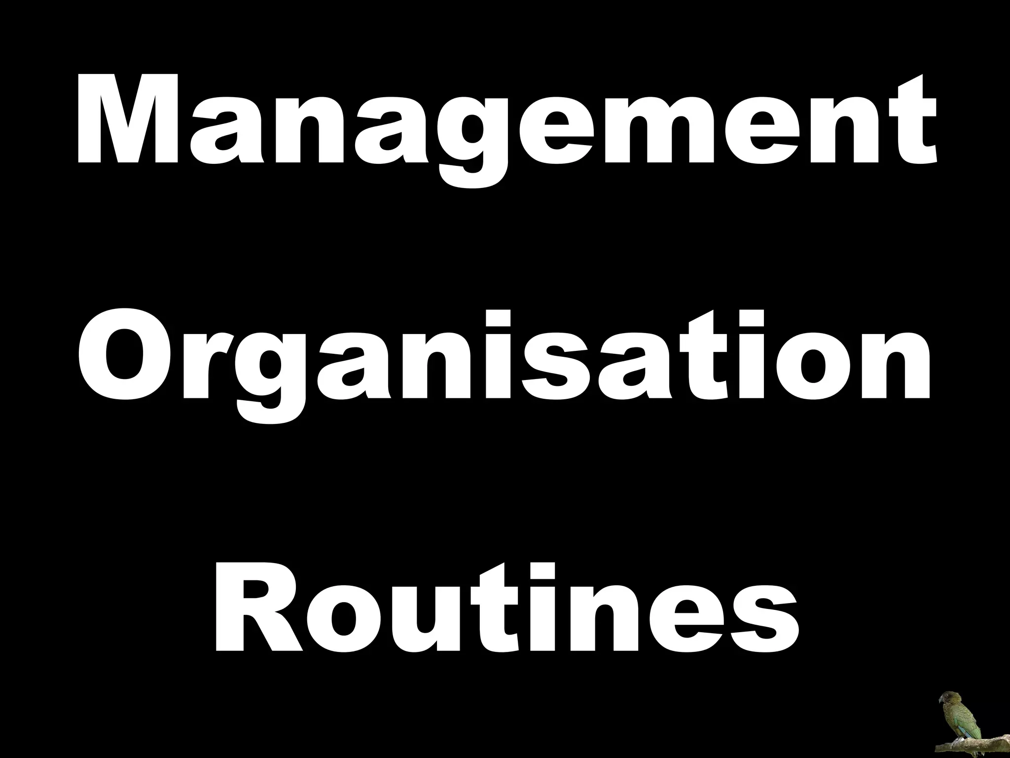 Management Organisation Routines 