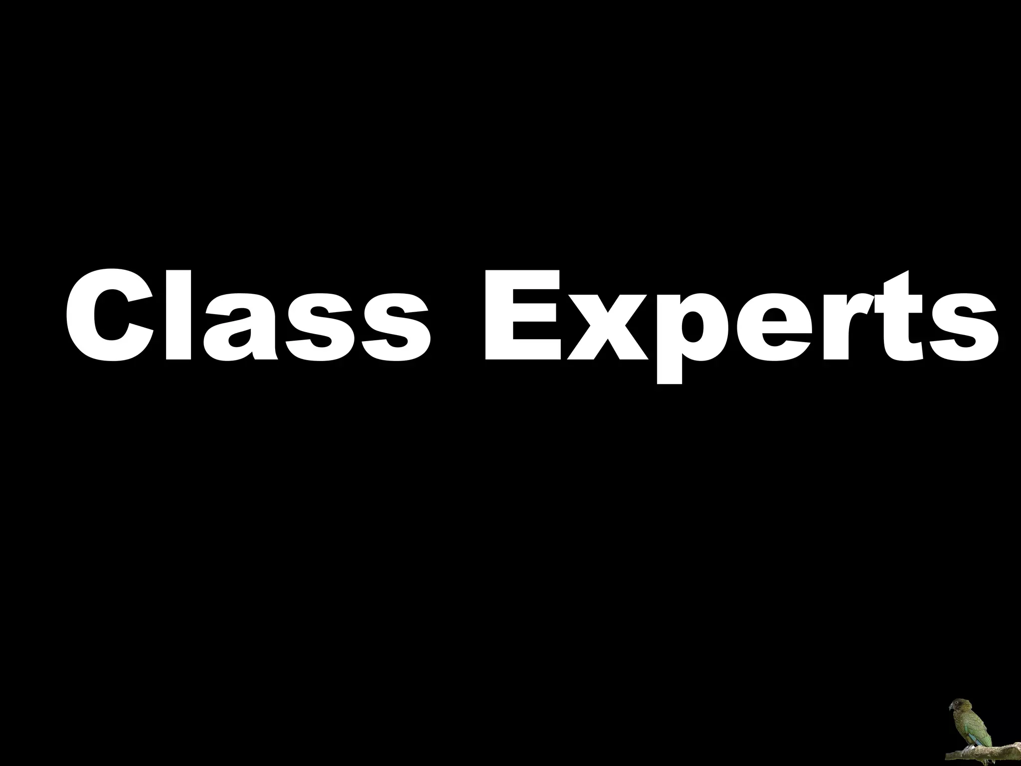 Class Experts  