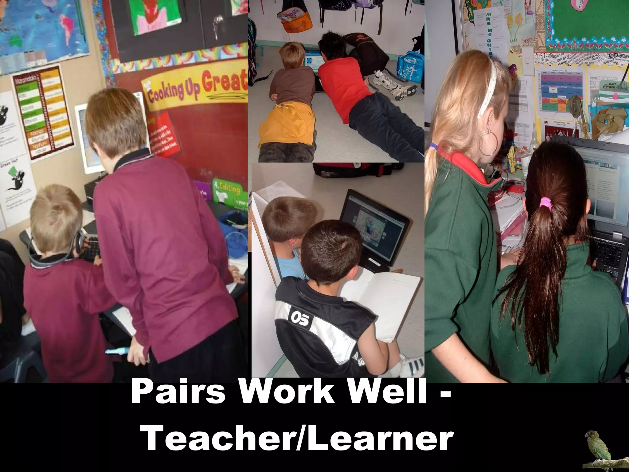Pairs Work Well -  Teacher/Learner 
