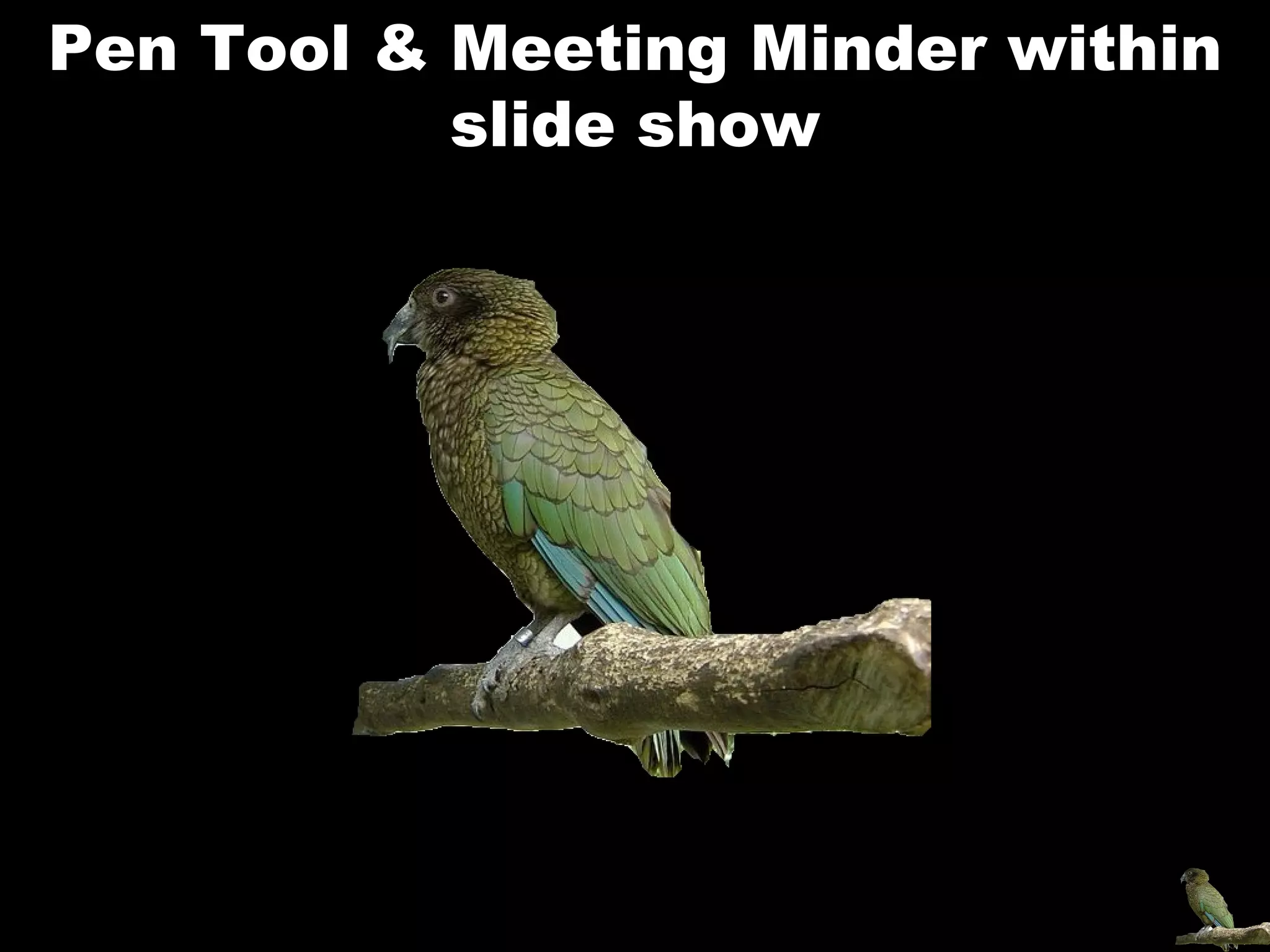 Pen Tool & Meeting Minder within slide show 