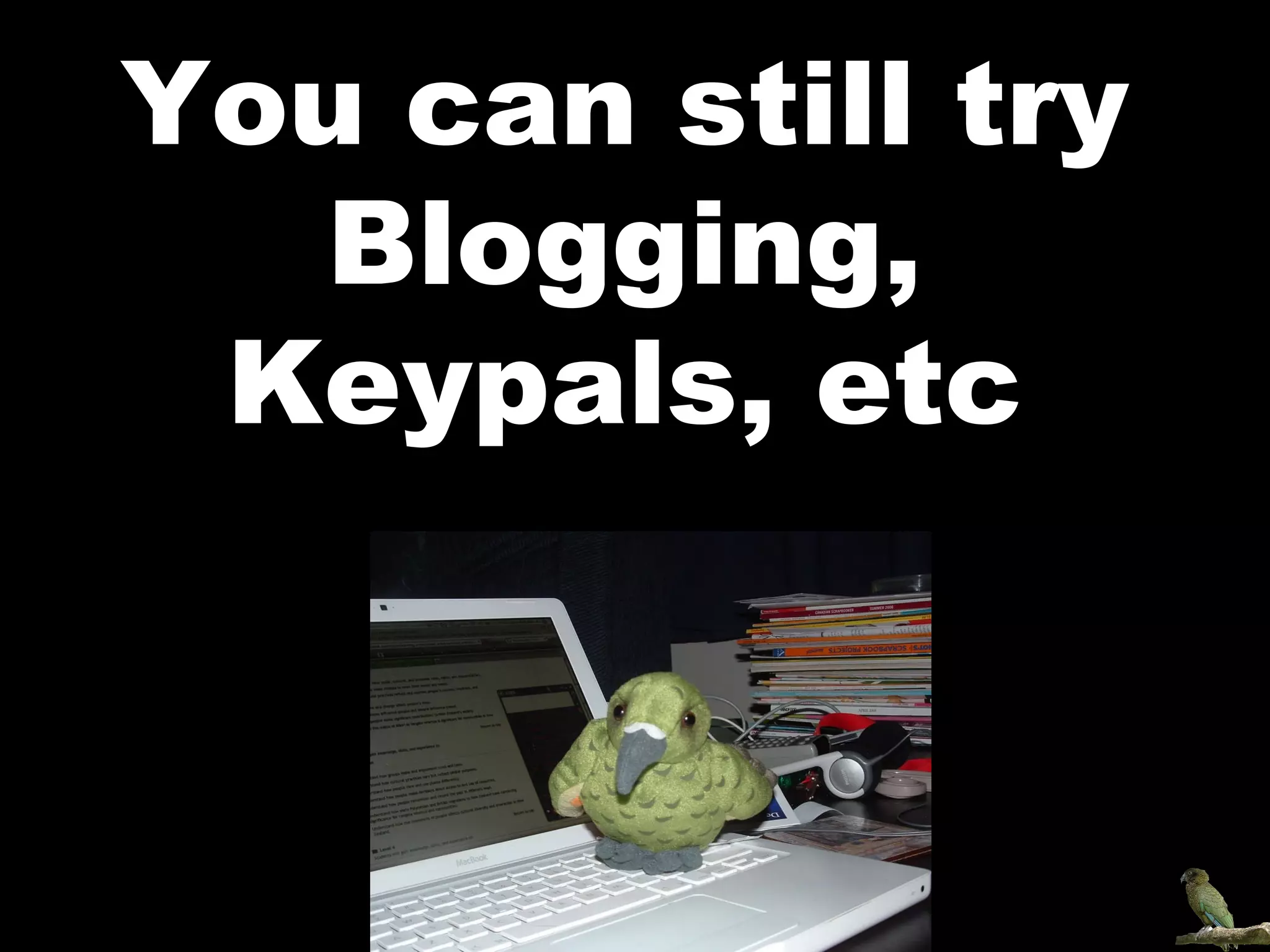 You can still try Blogging, Keypals, etc 