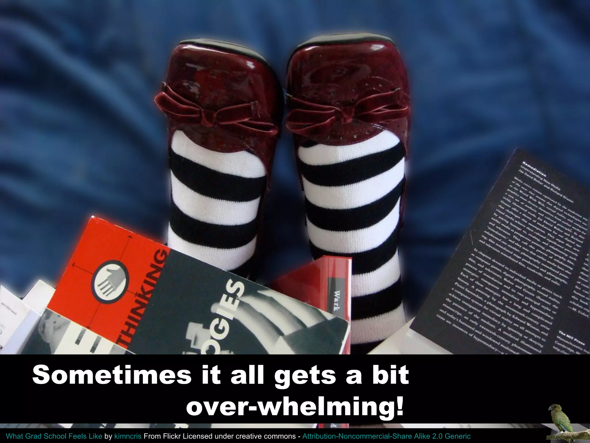 Sometimes it all gets a bit  over-whelming! What Grad School Feels Like  by  kimncris  From Flickr Licensed under creative commons -  Attribution-Noncommercial-Share Alike 2.0 Generic 