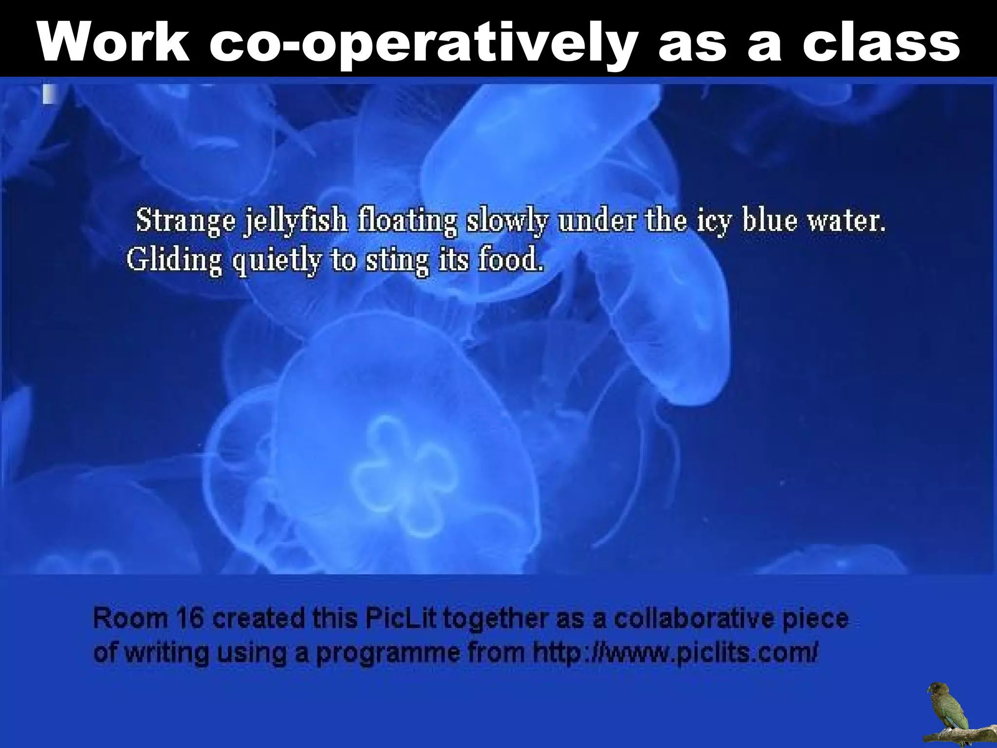 Work co-operatively as a class 