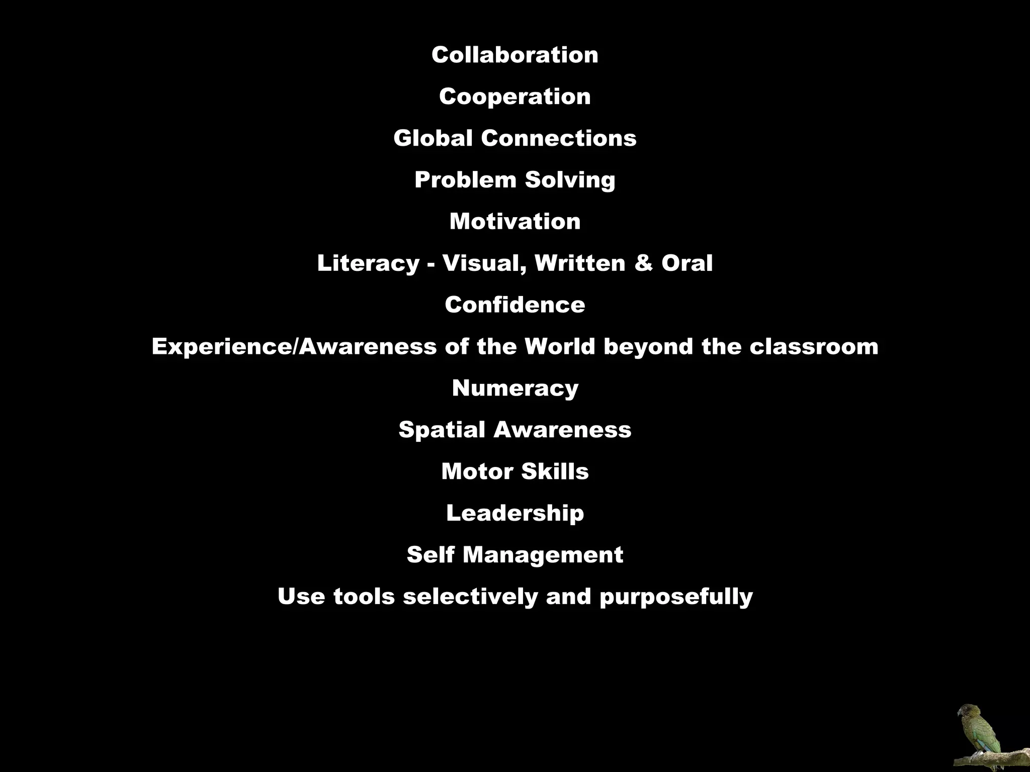Collaboration Cooperation Global Connections Problem Solving Motivation Literacy - Visual, Written & Oral Confidence Experience/Awareness of the World beyond the classroom Numeracy Spatial Awareness Motor Skills Leadership Self Management Use tools selectively and purposefully 