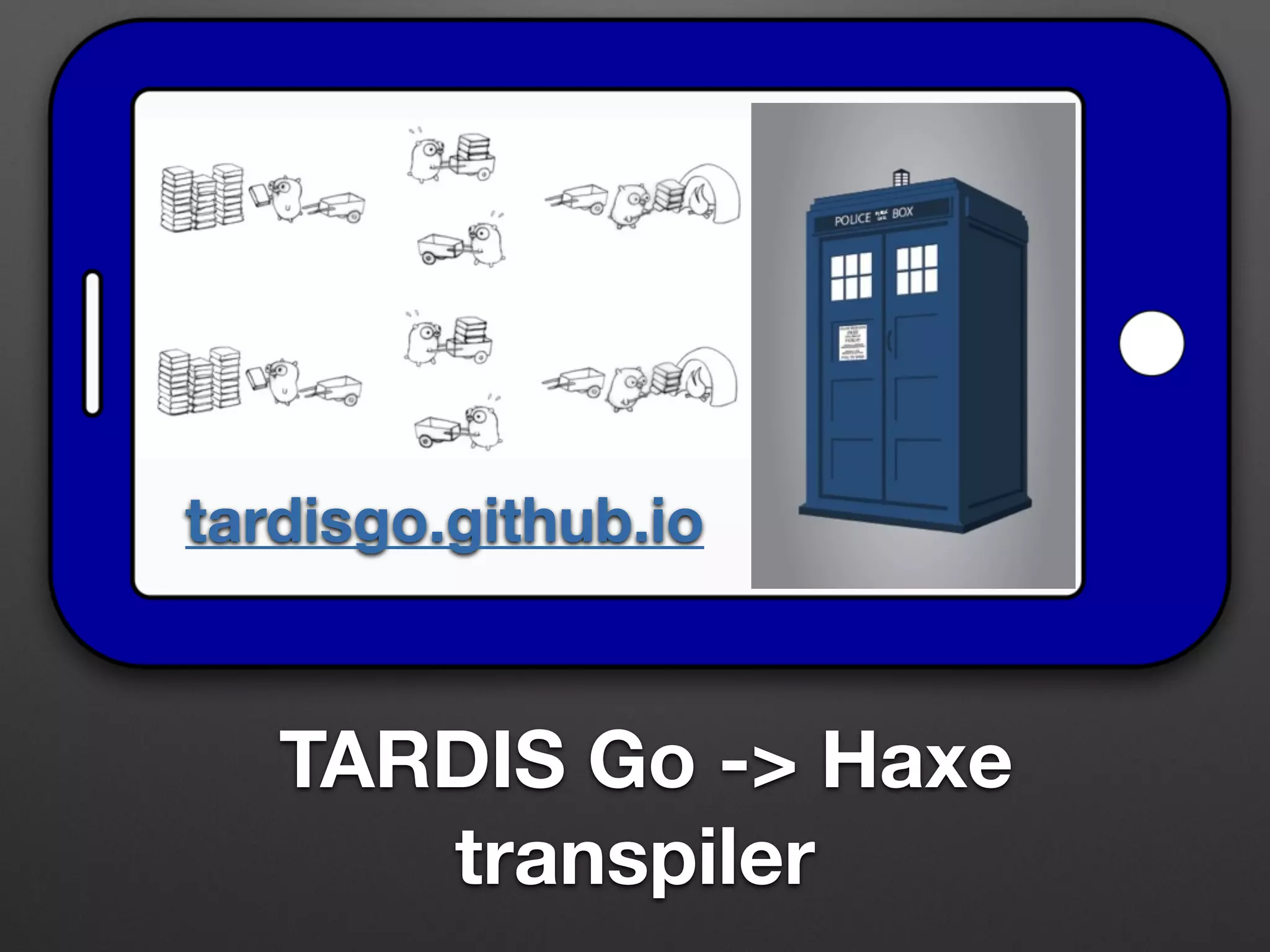 TARDIS Go -> Haxe
transpiler
tardisgo.github.io
 