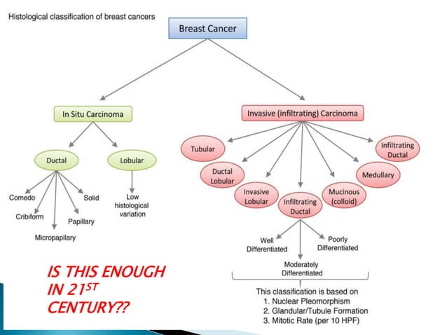 Molecular subtypes of breast cancer | PPTX | Endocrine and Metabolic ...