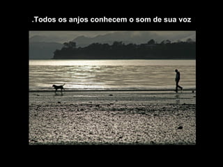 Todos os anjos conhecem o som de sua voz.
 