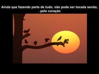 Ainda que fazendo parte de tudo, não pode ser tocada senão,
pelo coração.
 