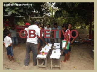 Senador José Porfírio
 