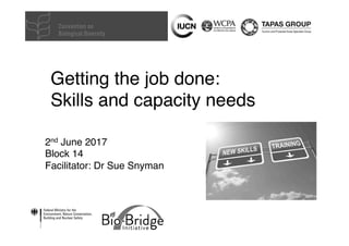 Getting the job done:  
Skills and capacity needs
2nd June 2017
Block 14
Facilitator: Dr Sue Snyman
 